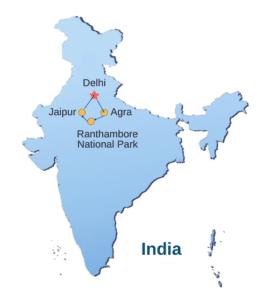 India Golden Triangle and Tiger Safari