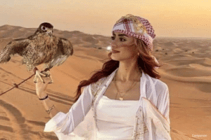 Dubai Tour with a falcon photo op
