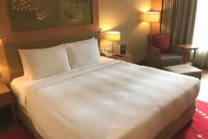 Piccadily Hotel-Delhi-India