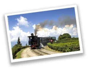 Darjeeling toy train is a must-see Tourist attraction in East India