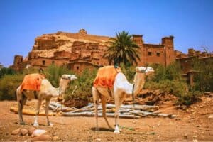 Morocco Travel Package: visit Ait Ben Haddou (ancient fortress) near Ouarzazate
