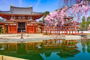 Japan Tour: Discover the centuries-old traditions and authentic tea rituals behind your daily cup of Macha while exploring Uji's tranquil heritage