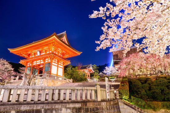 Japan Tour: Cherry Blossoms at Kiyomizu-dera (temple), Kyoto