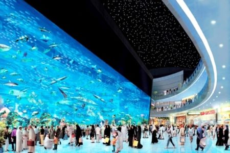 Dubai Mall Aquarium, UAE Dubai Mall Aquarium