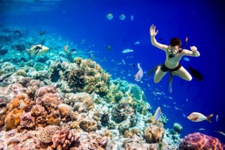 Snorkeler diving along Maldives Indian Ocean coral reef Snorkeler diving along Maldives Indian Ocean coral reef
