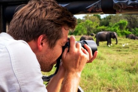 Wildlife Safari
Enjoy every moment of your safari at Yala with many elephants and wide variety of other animals.