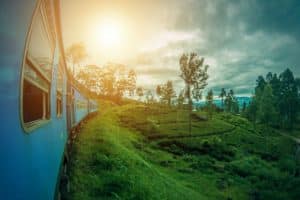 Take a family trip on the most beautiful Sri Lanka train ride from Nuwara Eliya to Ella. You will never forget Ella in the midst’s of tea plantations.