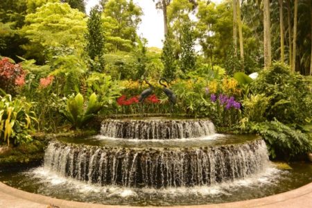 BOTANICAL GARDENS
A 158-year-old haven of tropical greenery