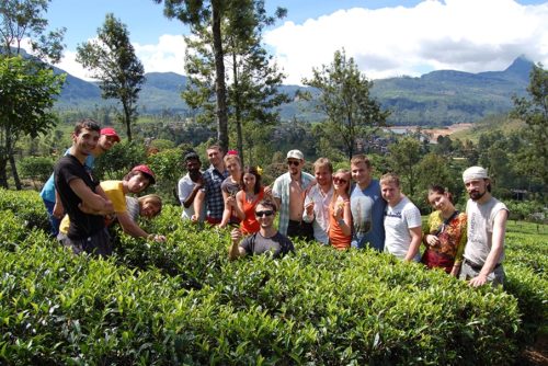Sri Lanka-tourists on a tea plantation in Colombo-Depositphotos_66214141_xl-2015 Sri Lanka-tourists on a tea plantation in Colombo-Depositphotos_66214141_xl-2015